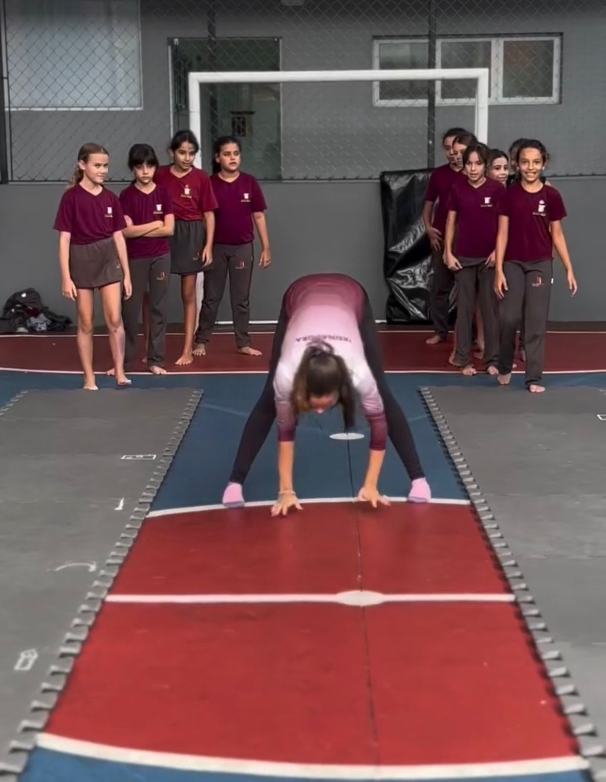 Ginástica Escolar